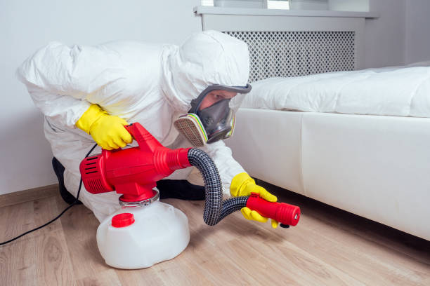 Best Fumigation Services  in Cedville, AR